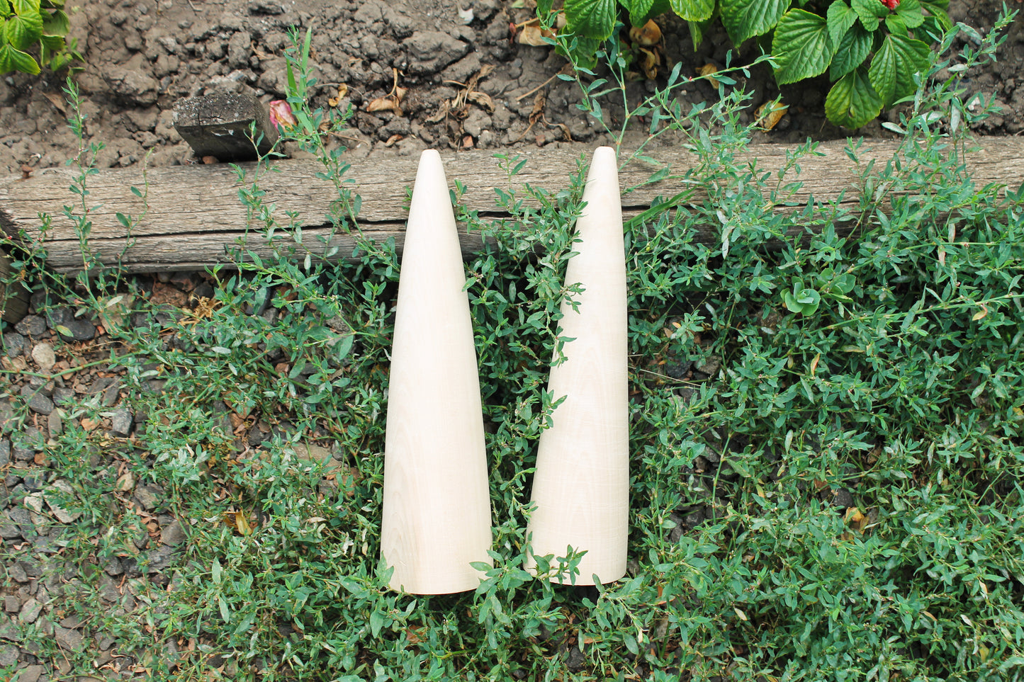 Big Wooden Cones 320–330 mm x 70–80 mm (13 x 3 inch) – Handmade from Natural Linden Wood – Minimalist Décor, DIY Holiday Decoration