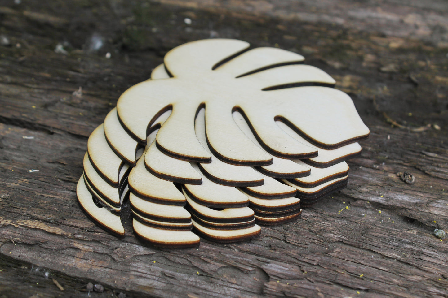 Set of 6 - Monstera leaf laser cut unfinished coasters 3.6 inches - made of high quality plywood - Leaf table decor, Modern coasters