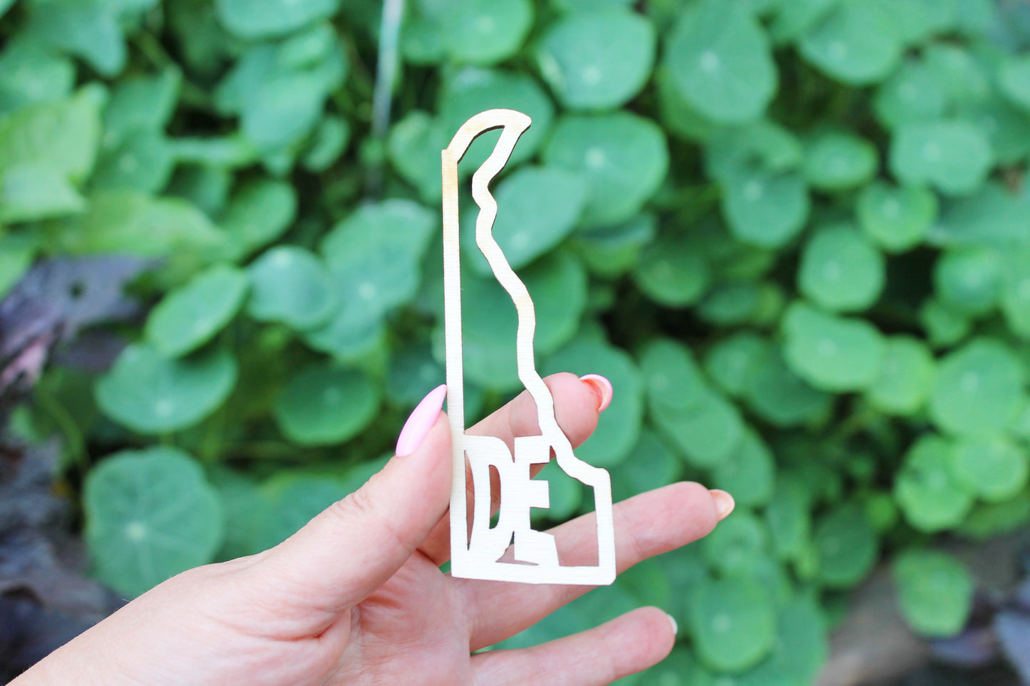 Delaware state partial inscription - Laser Cut - unfinished blank-4.3 inches - Delaware Map Shape Text, Pattern, Stencil, Outline