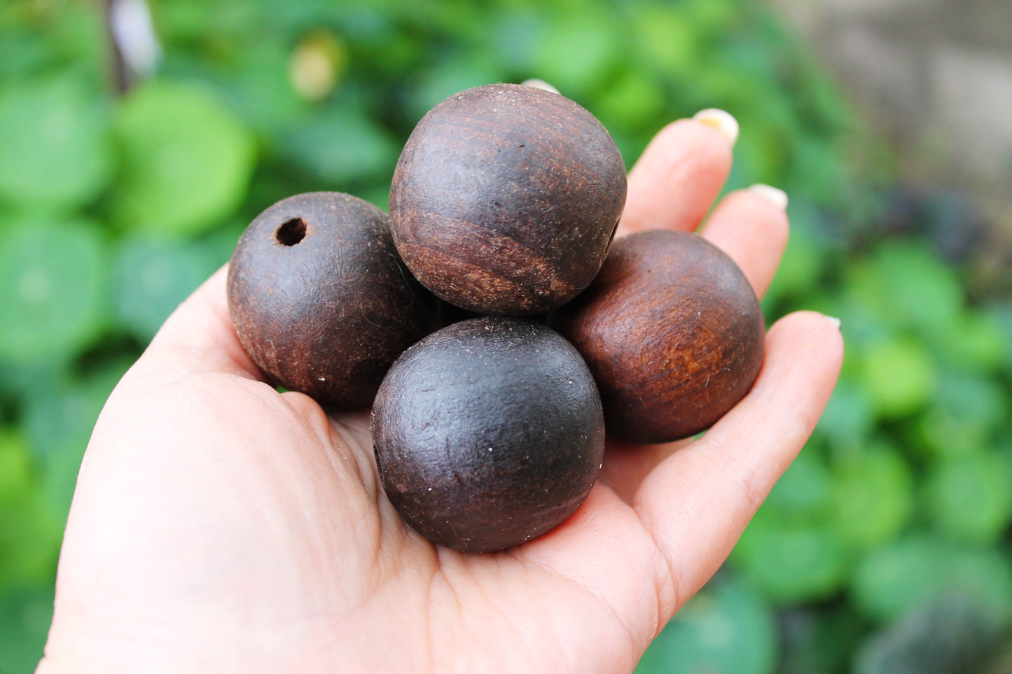 Wooden round beech beads - 36-37 mm 1.4 inches - 5 pcs boiled in olive oil - natural eco friendly