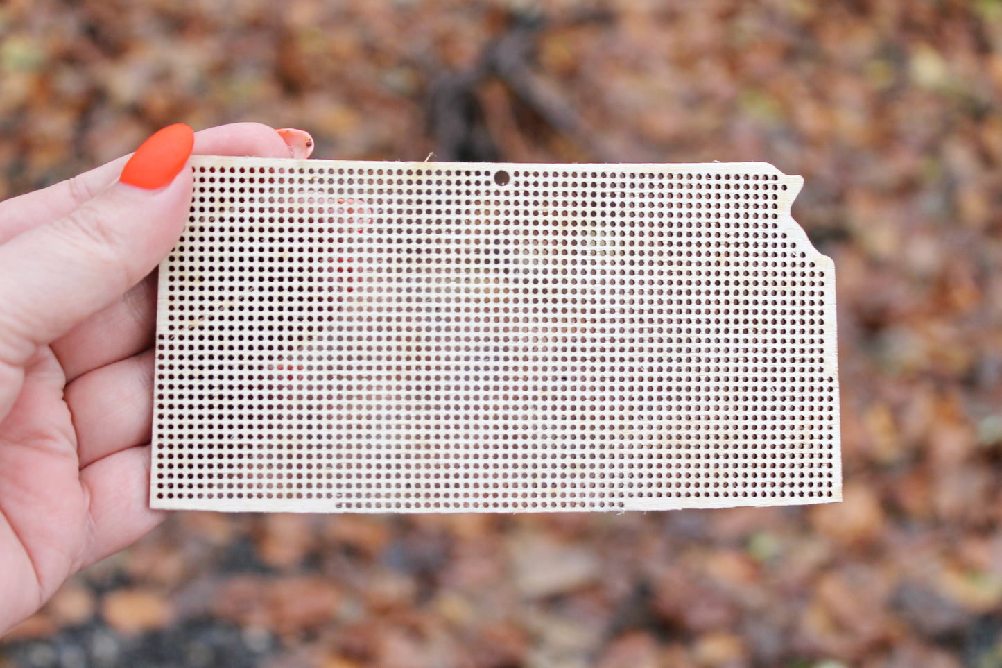 Kansas state cross stitch blank - Laser Cut - unfinished blank - 5.7 inches - Kansas Map cross stitch blank