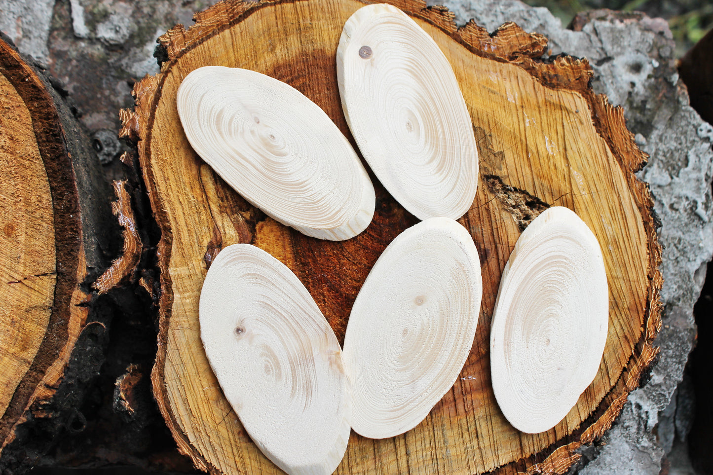 Set of 5 Unfinished wooden slices 100 x 55 mm - 3.9x2 inches wooden slice - natural eco friendly - made of spruce wood