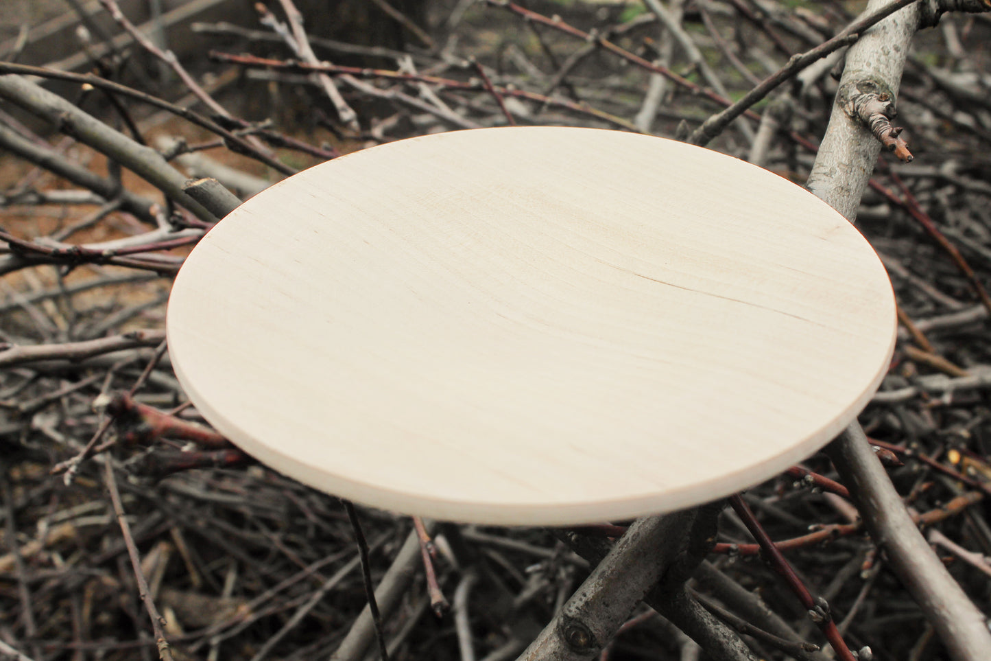 Wooden plate 18 cm 7.1 inches - unfinished natural eco friendly - made of beech wood