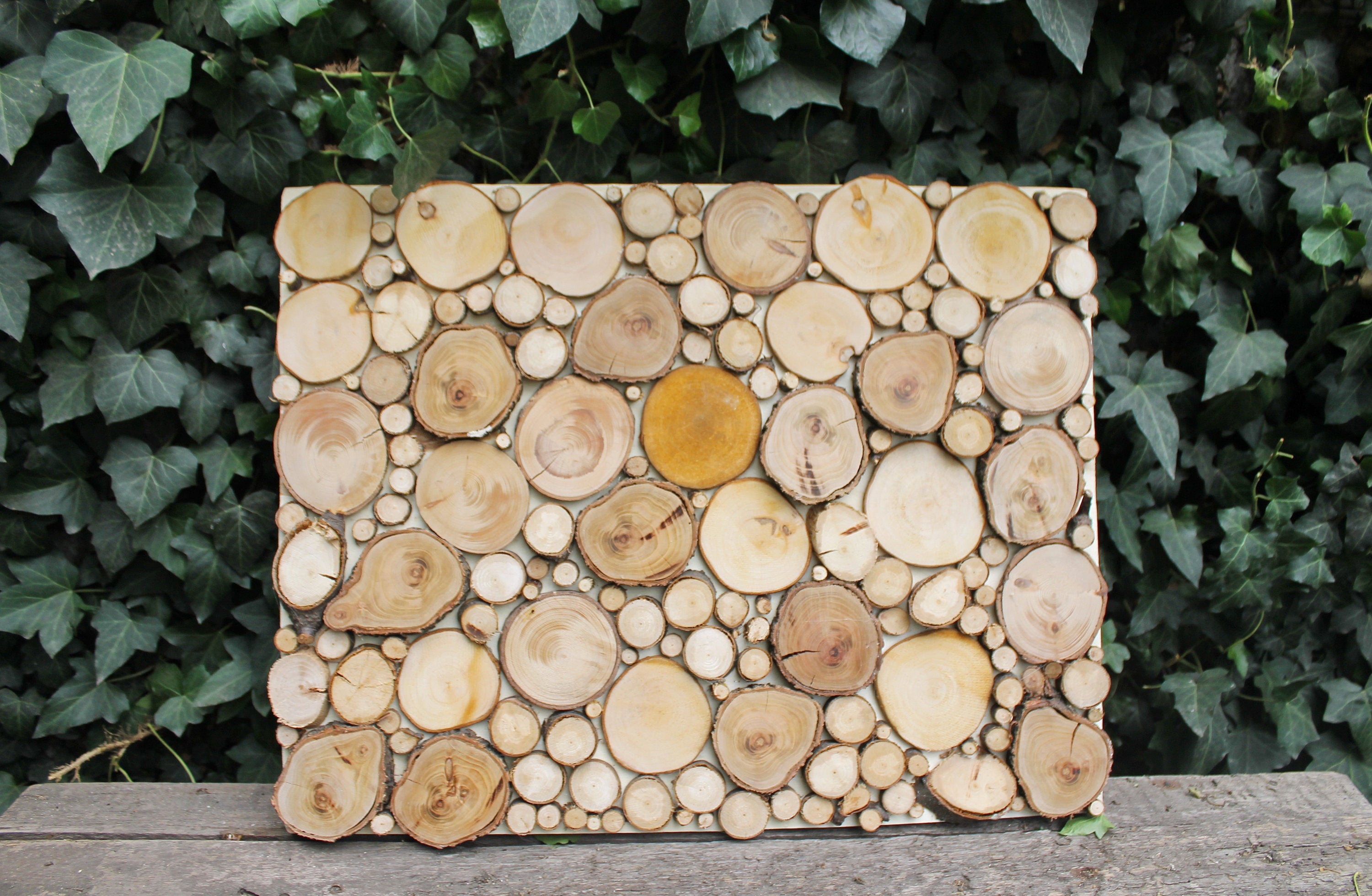 Rustic wooden slices picture - wood slices mosaic - natural wooden eco –  GeniusesOfWood