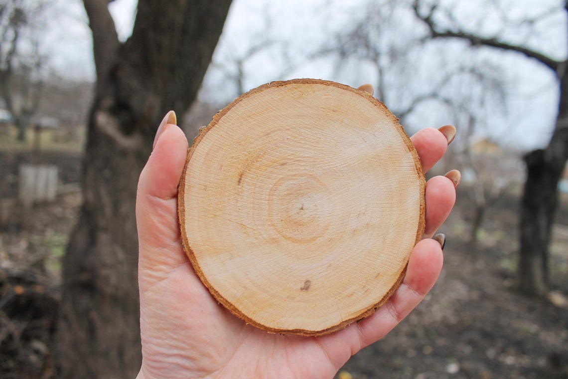 Wooden slices