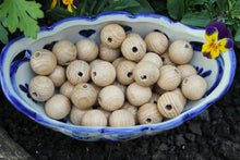 Load image into Gallery viewer, Ash-wood beads 18 mm - 0.7 inches - Natural wooden beads 25 pcs - eco friendly ash wood
