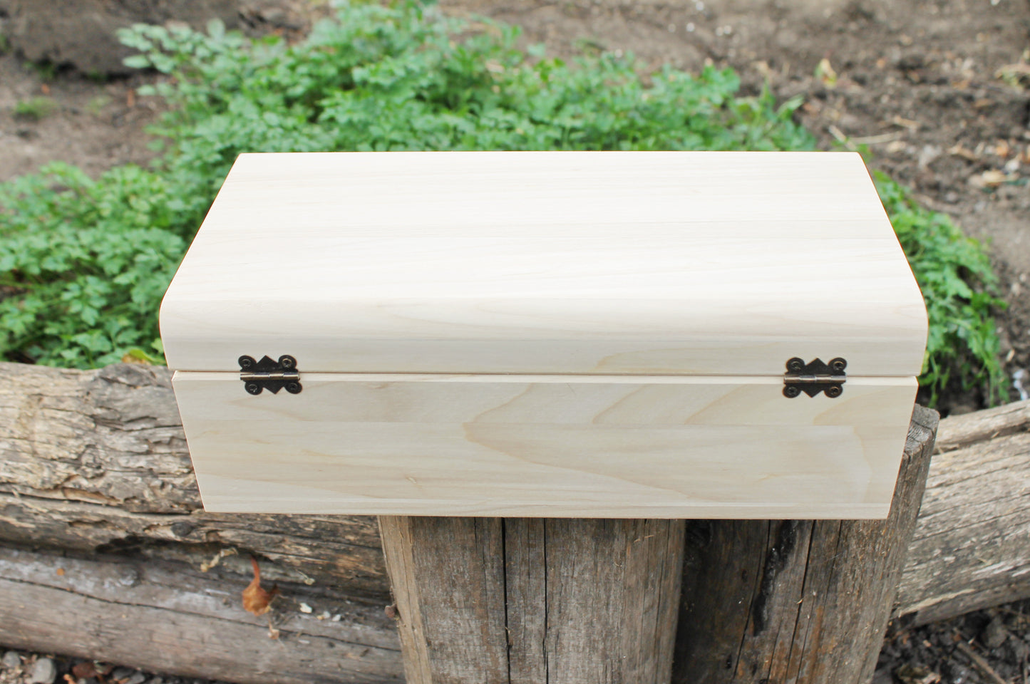 Big wooden box - rounded lid - rectangular unfinished wooden box - 300 mm - 11.8 inch - with lid on hinges - poplar wood