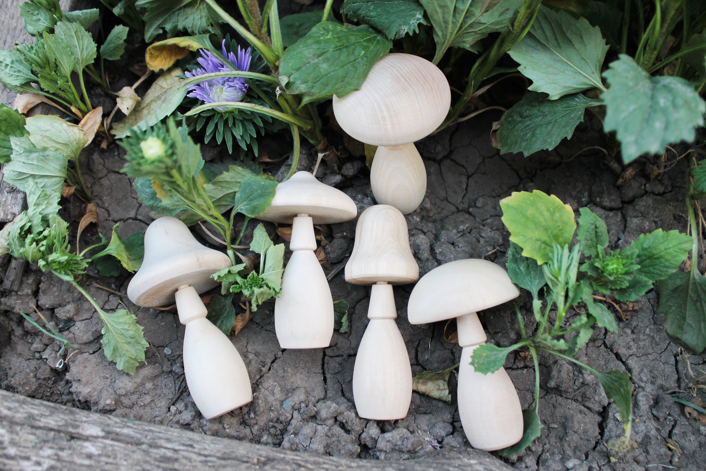 Set of five Wooden mushrooms - 91 to 112 mm - 3.6 to 4.4 inches - unfinished wooden handmade mushrooms - made of alder wood