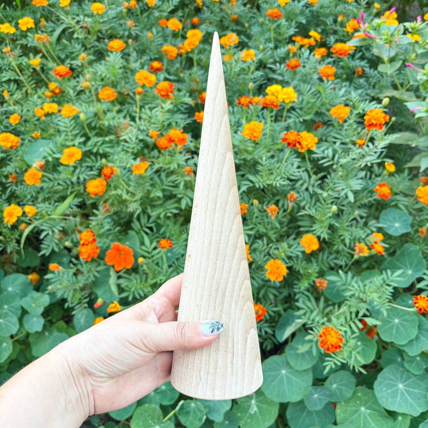 Large Beech Wood Cone 11.8 Inch Unfinished Wooden Form, Natural Carpathian Beech, DIY Craft Blank, Decor and Woodworking Supply
