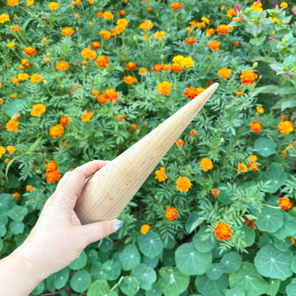 Large Beech Wood Cone 11.8 Inch Unfinished Wooden Form, Natural Carpathian Beech, DIY Craft Blank, Decor and Woodworking Supply