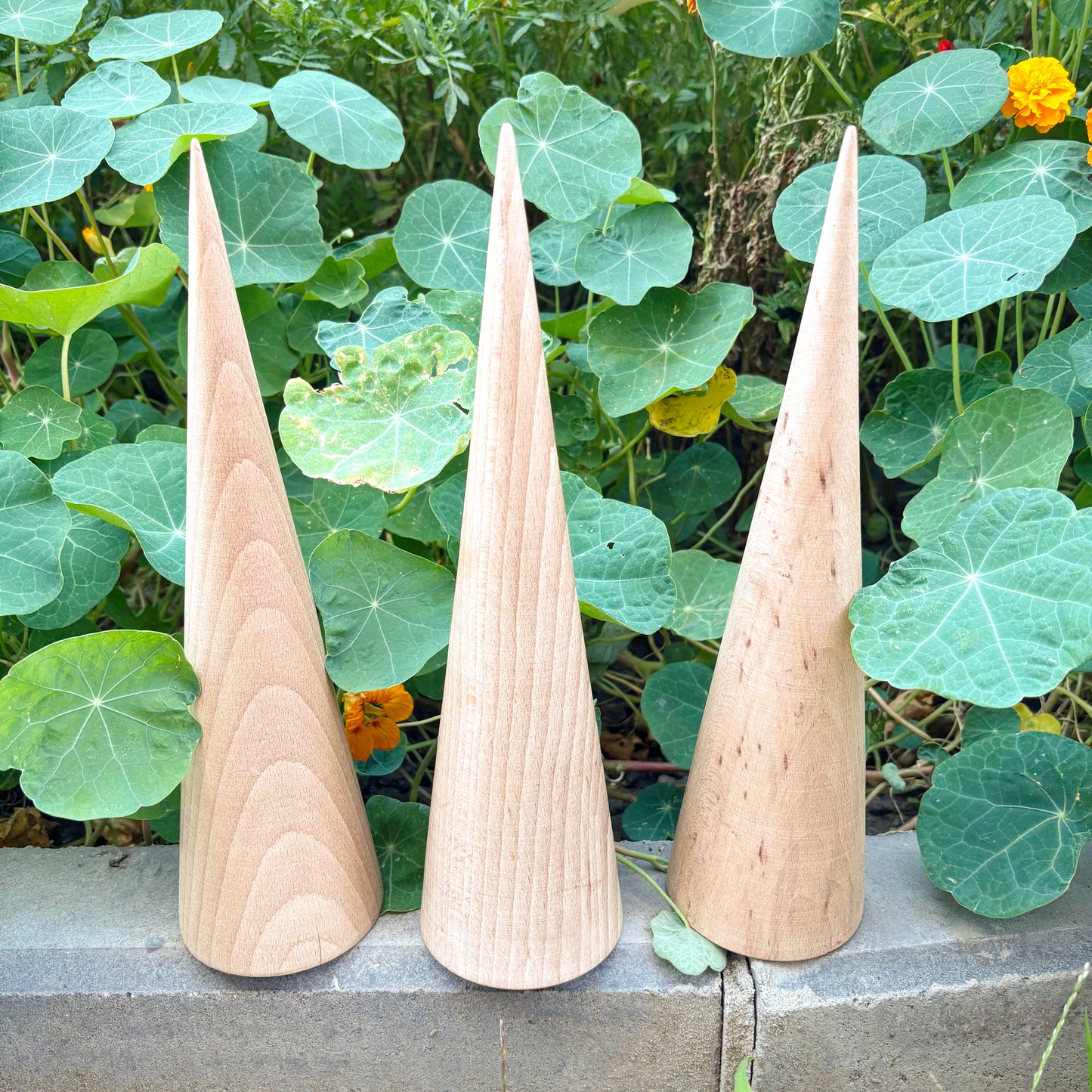 Large Beech Wood Cone 11.8 Inch Unfinished Wooden Form, Natural Carpathian Beech, DIY Craft Blank, Decor and Woodworking Supply