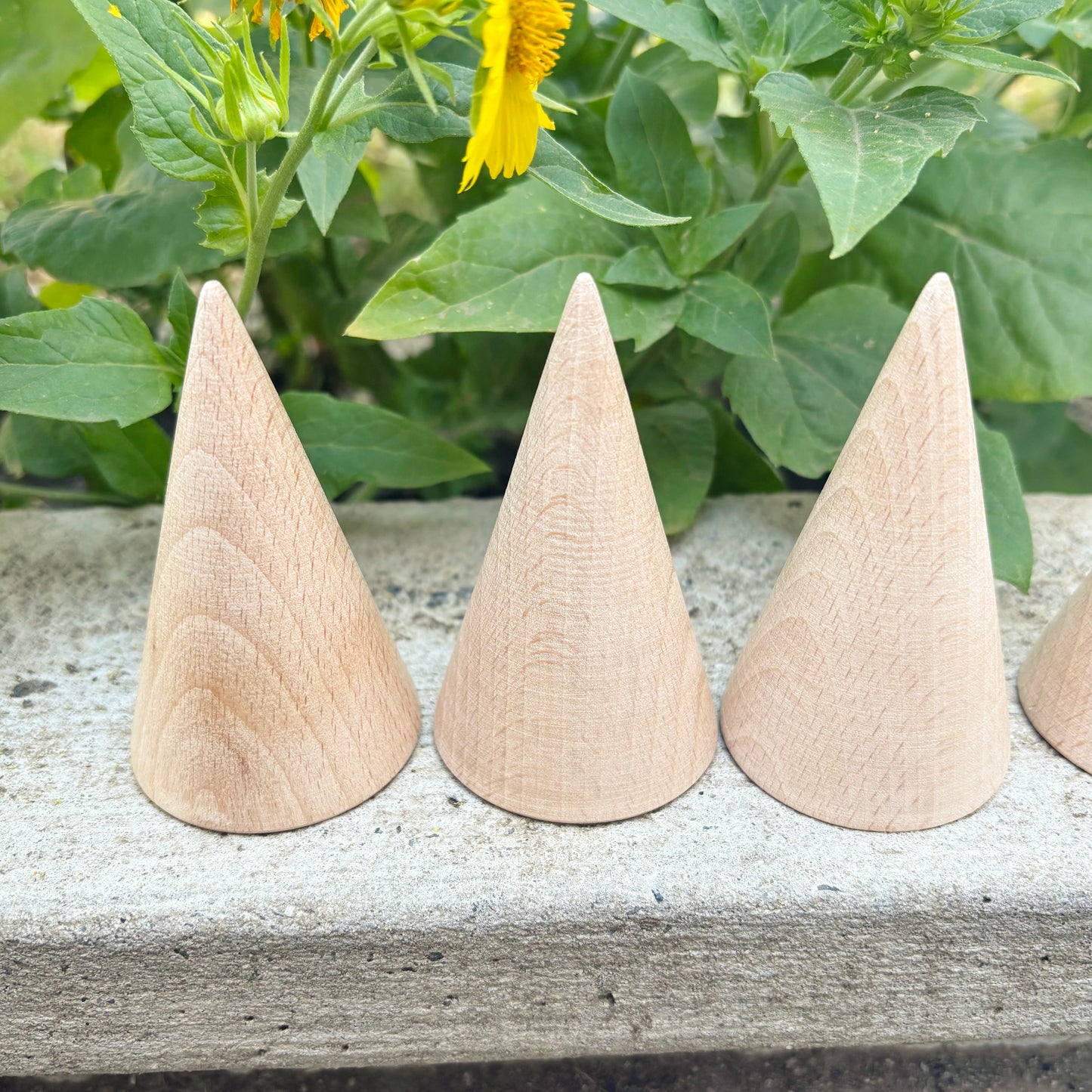 Beech Wood Cones, Unfinished Wooden Shapes for DIY Crafts, Natural Craft Blanks for Painting, Decor, Woodworking, Choose Quantity