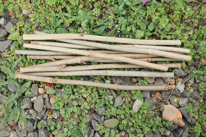10 Dry Viburnum Sticks – Natural Wood Twigs for Crafting, 25 cm - wooden craft supplies