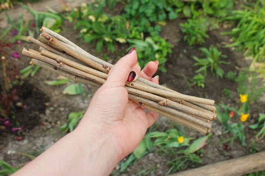 10 Dry Viburnum Sticks – Natural Wood Twigs for Crafting, 25 cm - wooden craft supplies