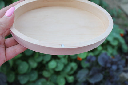Oval unfinished wooden box 6.9 inches x 4.2 inches - eco-friendly - made from alder wood - oblong box on magnets