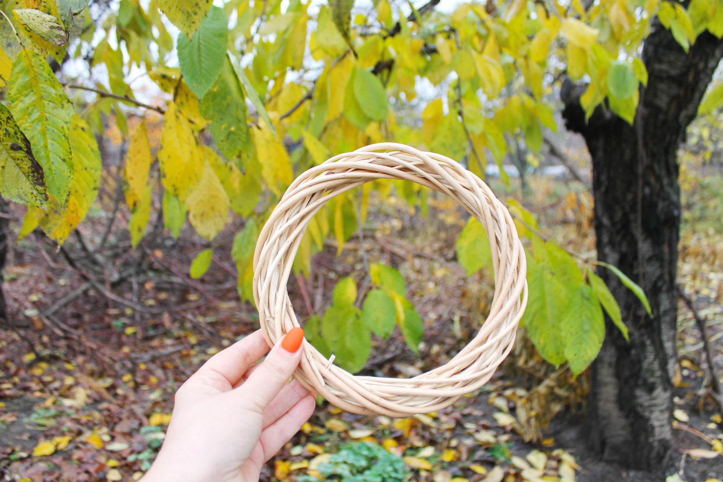 Wreath blank made of rod - Christmas Wreath made of vines - The basis for a Christmas wreath - eco friendly vines