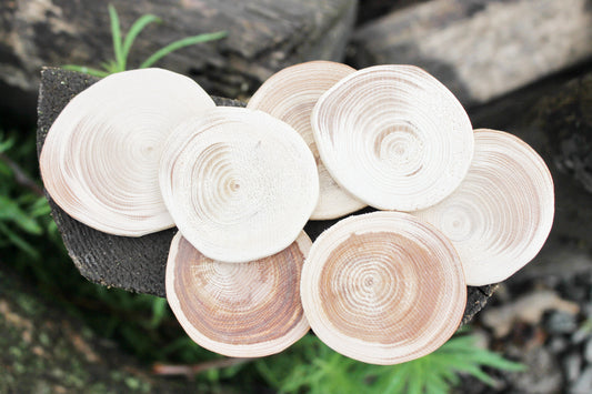 Set of 5 Unfinished wooden slices 40-50 mm - 1.6 - 2 inches wooden slice - natural eco friendly