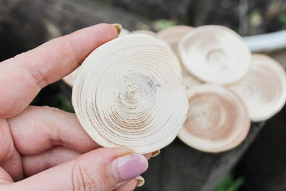 Set of 5 Unfinished wooden slices 40-50 mm - 1.6 - 2 inches wooden slice - natural eco friendly