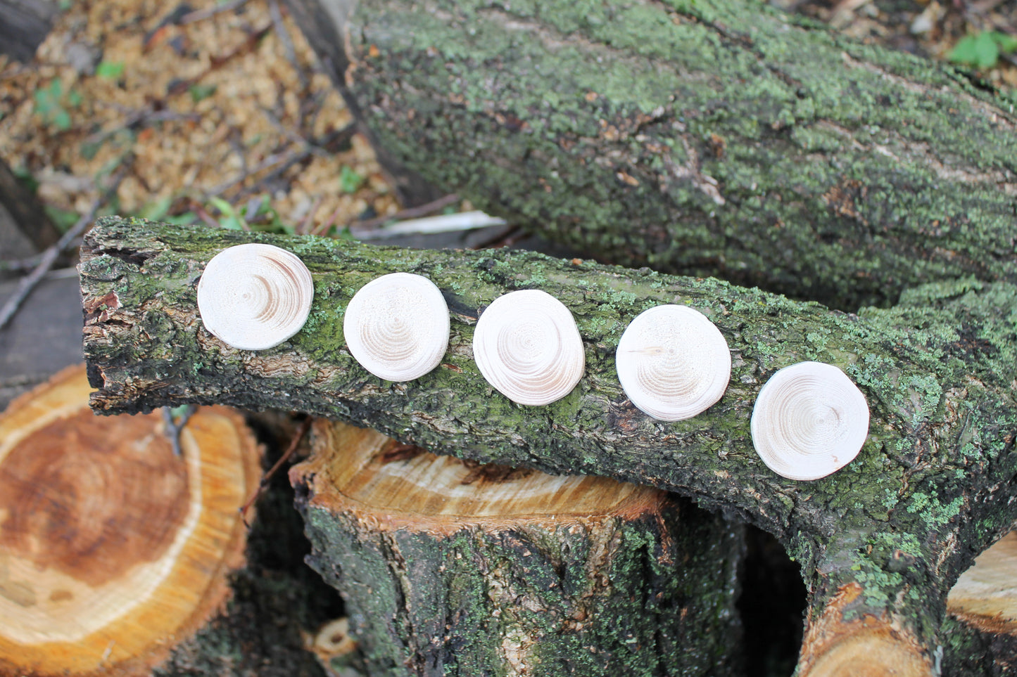 Set of 5 Unfinished wooden slices 35-40 mm - 1.4-1.6 inches wooden slice - natural eco friendly - made of spruce wood