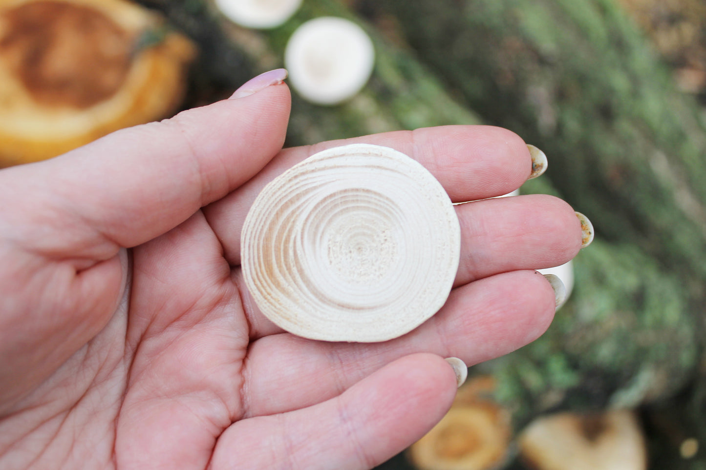 Set of 5 Unfinished wooden slices 35-40 mm - 1.4-1.6 inches wooden slice - natural eco friendly - made of spruce wood