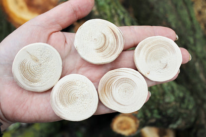 Set of 5 Unfinished wooden slices 35-40 mm - 1.4-1.6 inches wooden slice - natural eco friendly - made of spruce wood