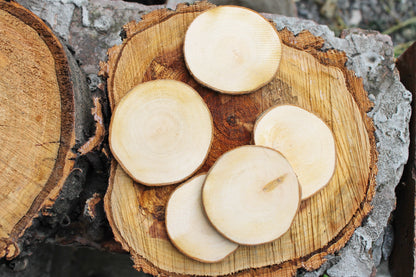 Set of 2 Unfinished wooden slices with tree bark made of alder wood 65-75 mm diameter (2.6 - 3 inches) - natural eco friendly