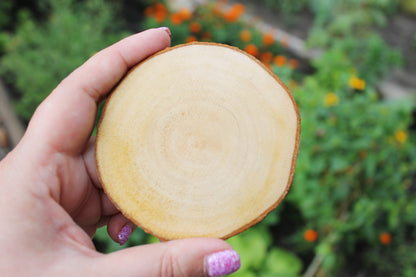 Set of 2 Unfinished wooden slices with tree bark made of alder wood 65-75 mm diameter (2.6 - 3 inches) - natural eco friendly