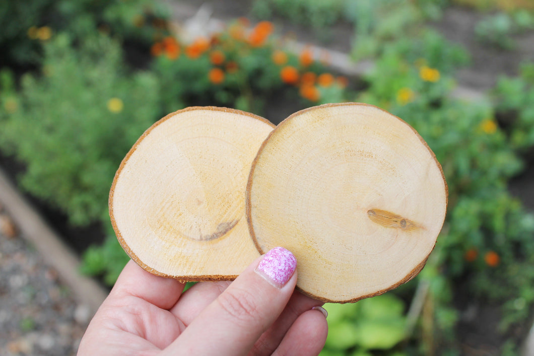 Set of 2 Unfinished wooden slices with tree bark made of alder wood 65-75 mm diameter (2.6 - 3 inches) - natural eco friendly