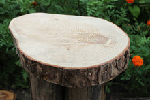 Load image into Gallery viewer, Unfinished big wooden pine slice 10.6 inches (270 mm) - natural eco friendly
