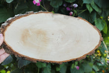 Load image into Gallery viewer, Unfinished big wooden slice 13 inches (330 mm) with tree bark - natural eco friendly
