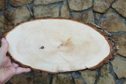 Unfinished big wooden slice 13 inches (330 mm) with tree bark - natural eco friendly