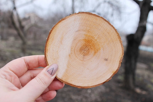 Set of 2 Unfinished wooden slices with tree bark made of alder wood 90-110 mm diameter (3,5 - 4,3 inches) - natural eco friendly