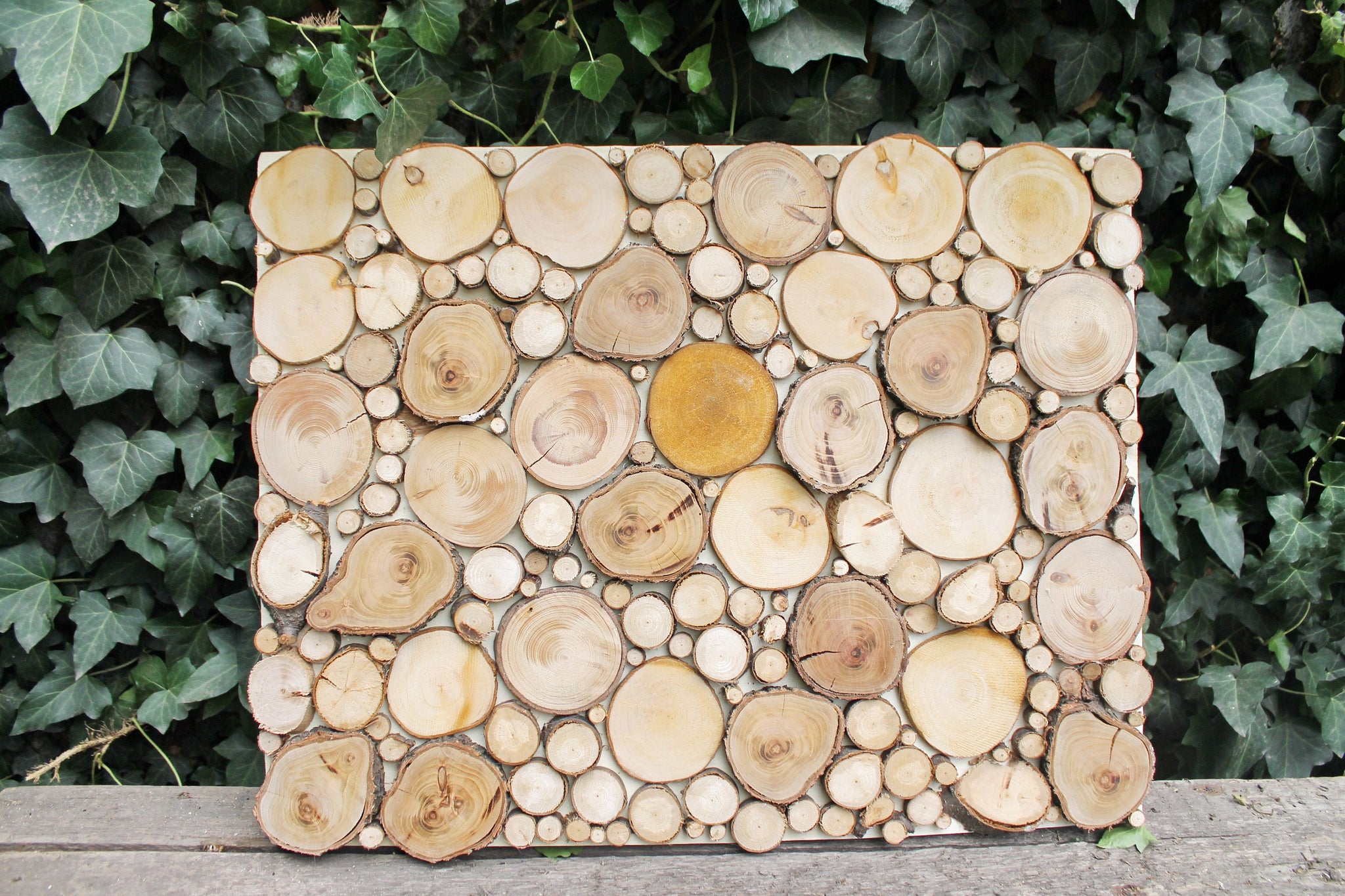 Rustic wooden slices picture - wood slices mosaic - natural wooden
