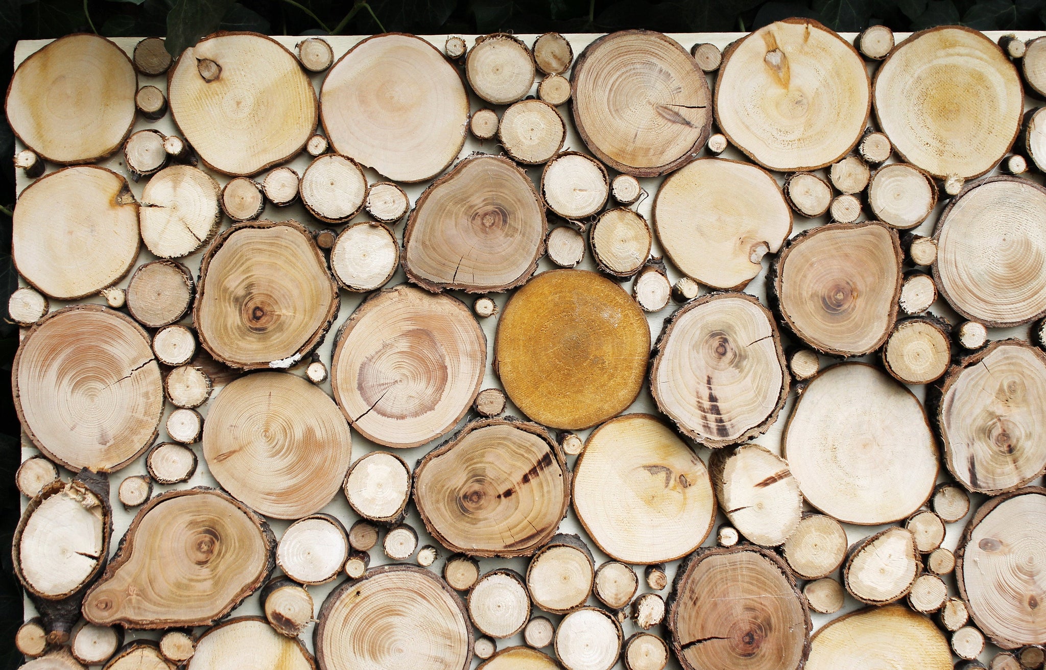 Rustic wooden slices picture - wood slices mosaic - natural wooden