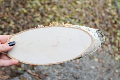 Unfinished big wooden slice 260 mm (10.2 inches) with tree bark  - natural eco friendly