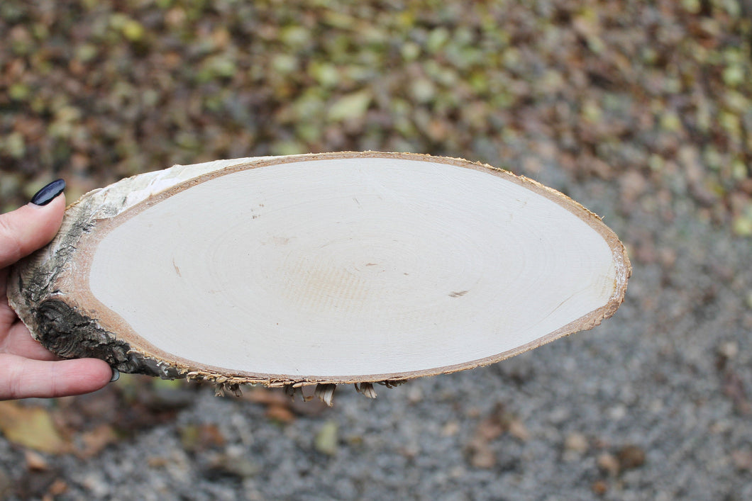 Unfinished big wooden slice 260 mm (10.2 inches) with tree bark  - natural eco friendly