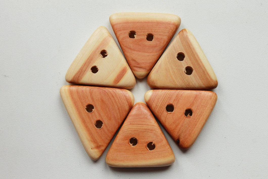 Set of 5 juniper buttons - Natural polished - eco friendly