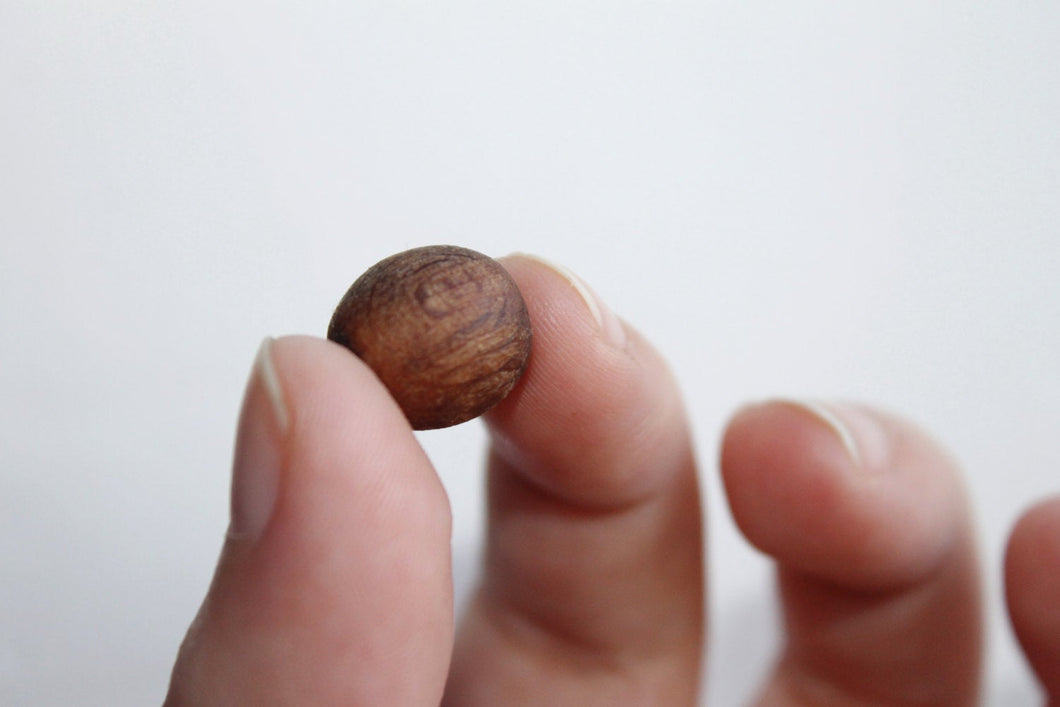 13 mm Wooden textured beads 25 pcs - natural, eco-friendly  - boiled in olive oil - beech wood